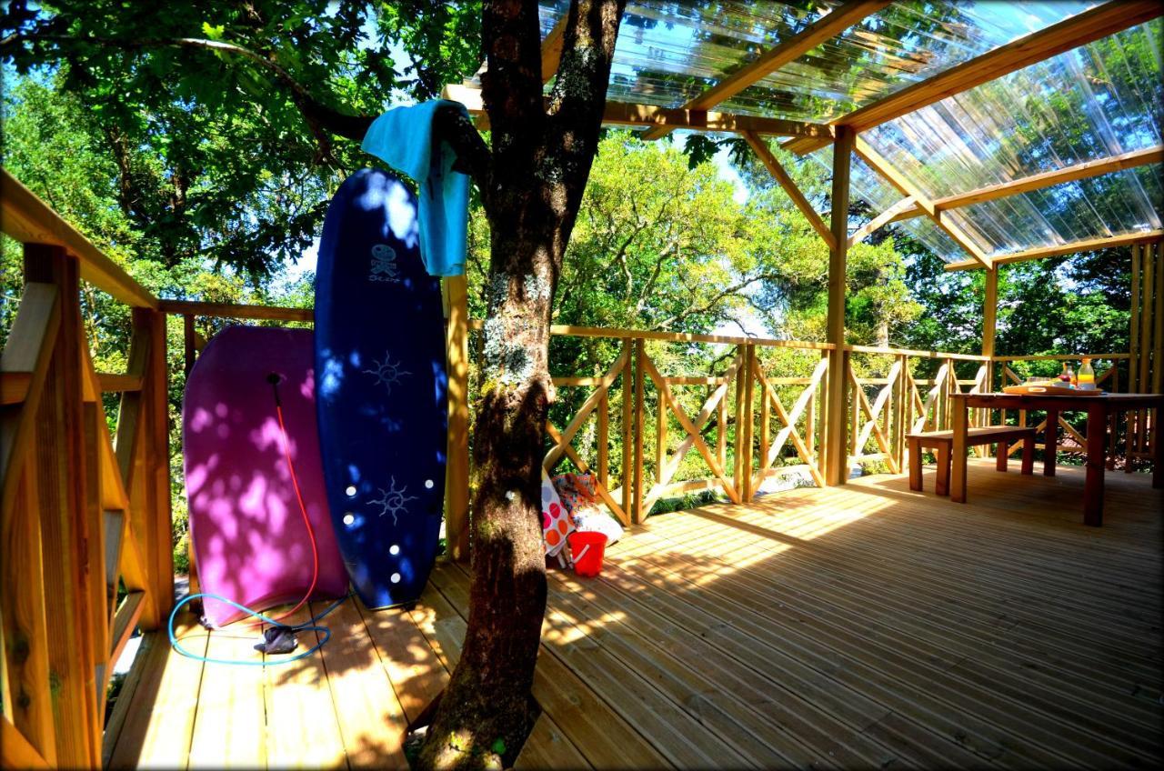 Village Nature Et Ocean A Cote De La Plage Avec Piscine Et Jacuzzi Messanges  Εξωτερικό φωτογραφία