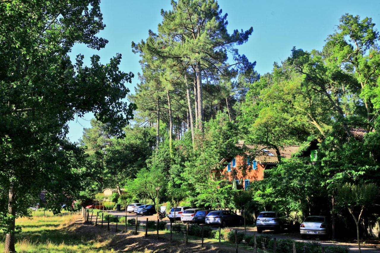 Village Nature Et Ocean A Cote De La Plage Avec Piscine Et Jacuzzi Messanges  Εξωτερικό φωτογραφία